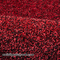 রঙ্গিন নাইলন বাণিজ্যিক প্রবেশ ম্যাট হলওয়ে এন্ট্রি রাগ 12 ইঞ্চি প্রশস্ত কার্পেট রানার
